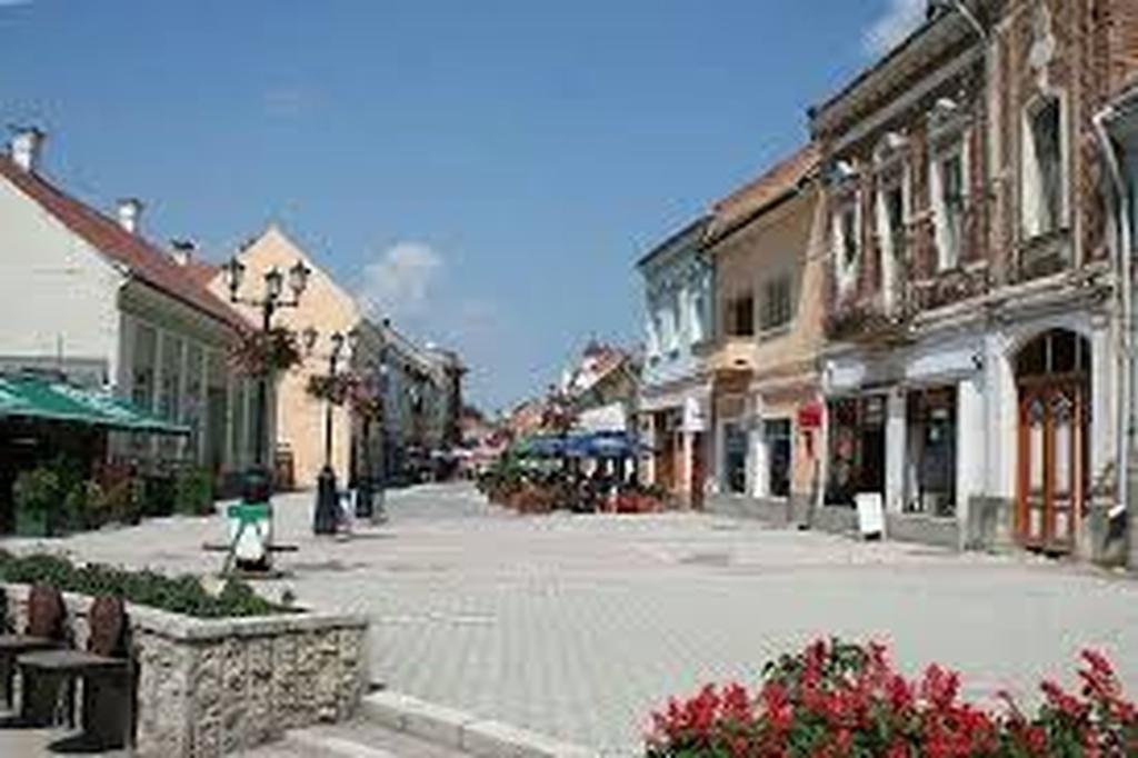 Betty Panzio Hotell Miercurea Ciuc Exteriör bild